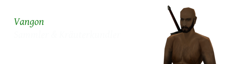Vangona35ayip5.png